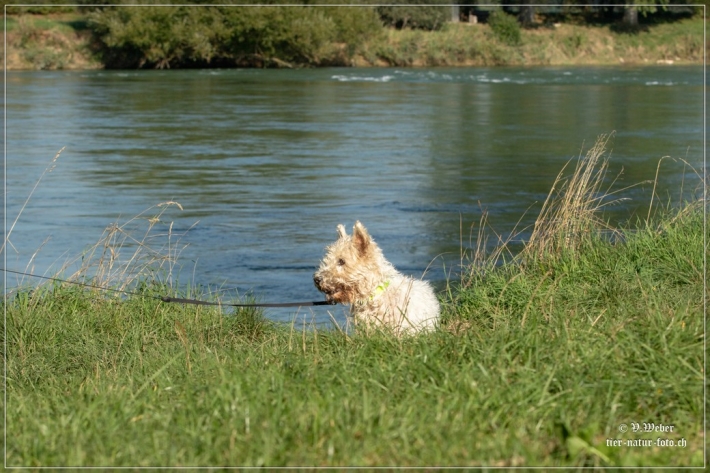 comp_IMG_7882-1