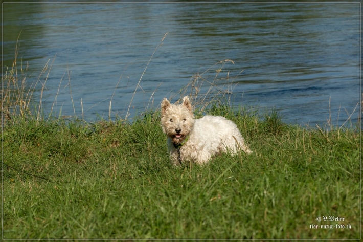 comp_IMG_7886-1