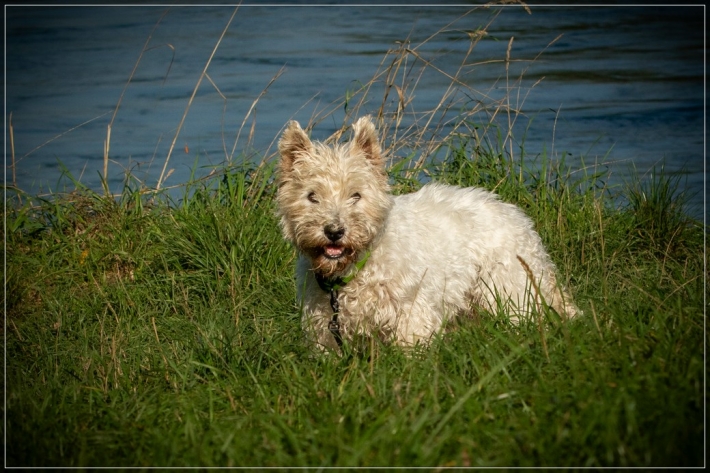 comp_IMG_7886-3