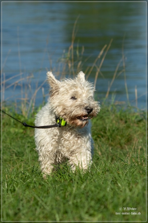 comp_IMG_7895-1