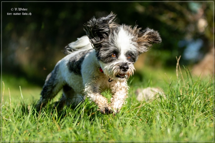 comp_IMG_8469-1