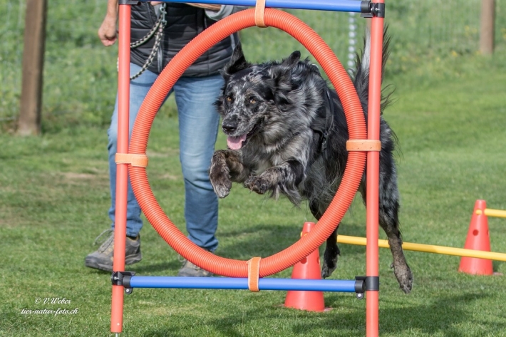 comp_IMG_9583-1