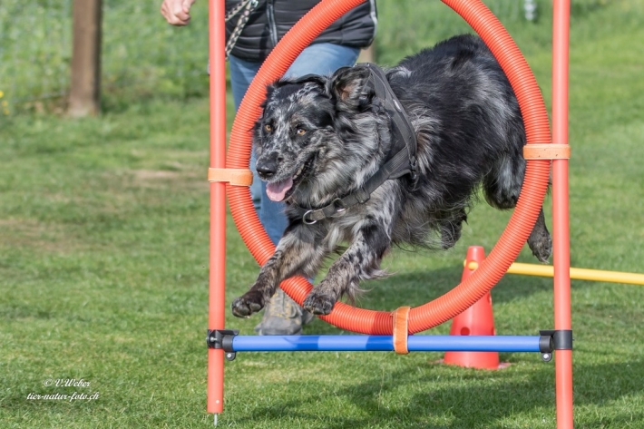 comp_IMG_9604-1