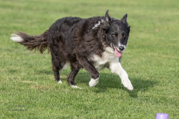 comp_IMG_9718-1