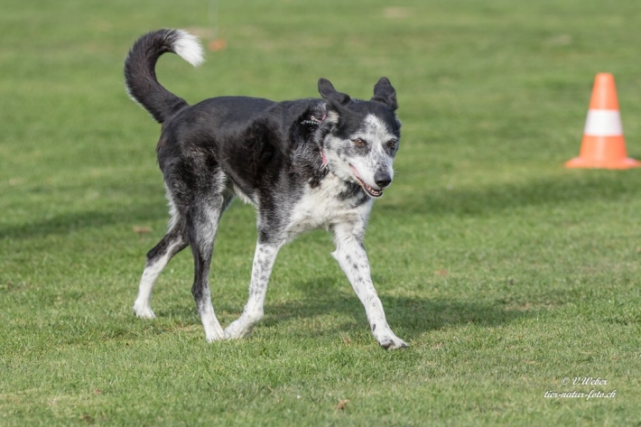 comp_IMG_9796-1