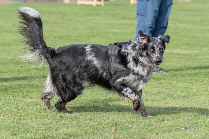 comp_IMG_9807-1