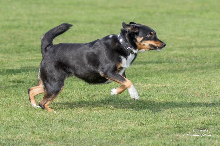 comp_IMG_9848-1