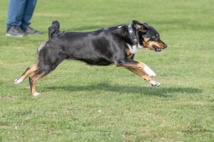 comp_IMG_9852-1