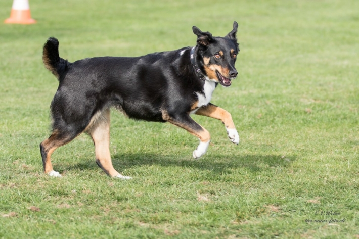 comp_IMG_9855-1
