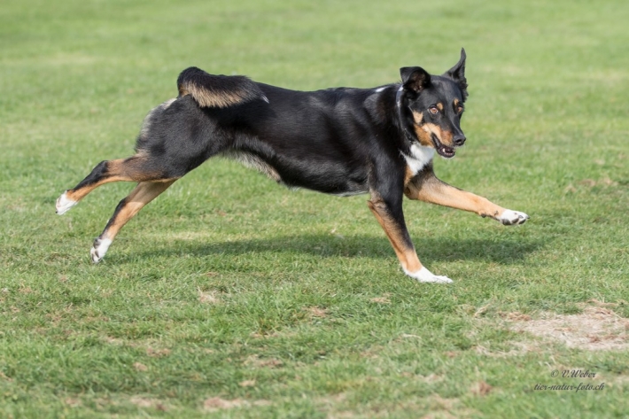 comp_IMG_9856-1