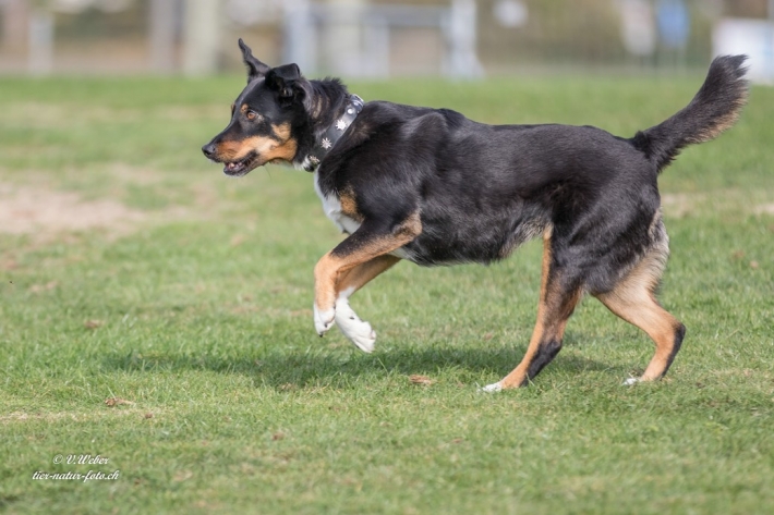 comp_IMG_9881-1