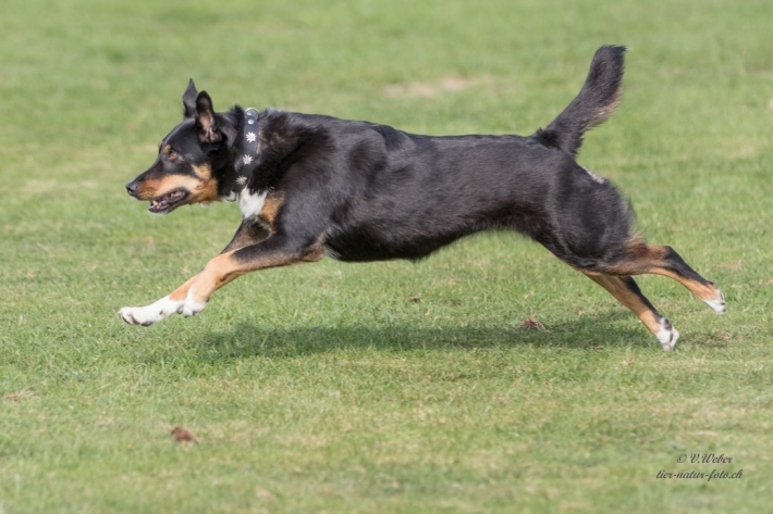 comp_IMG_9886-1