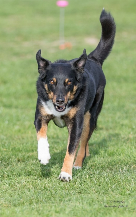 comp_IMG_9919-1