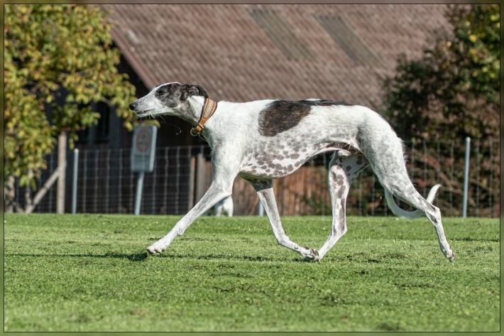 comp_IMG_7901-1