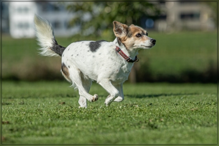 comp_IMG_7956-1