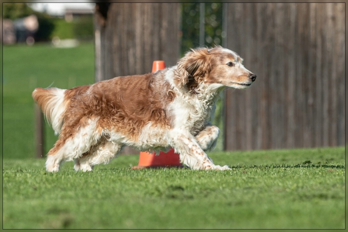 comp_IMG_8068-1