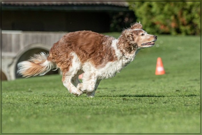 comp_IMG_8071-1
