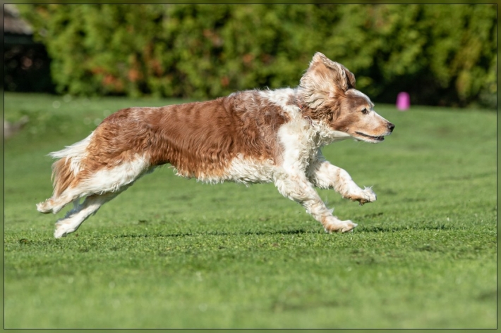comp_IMG_8073-1