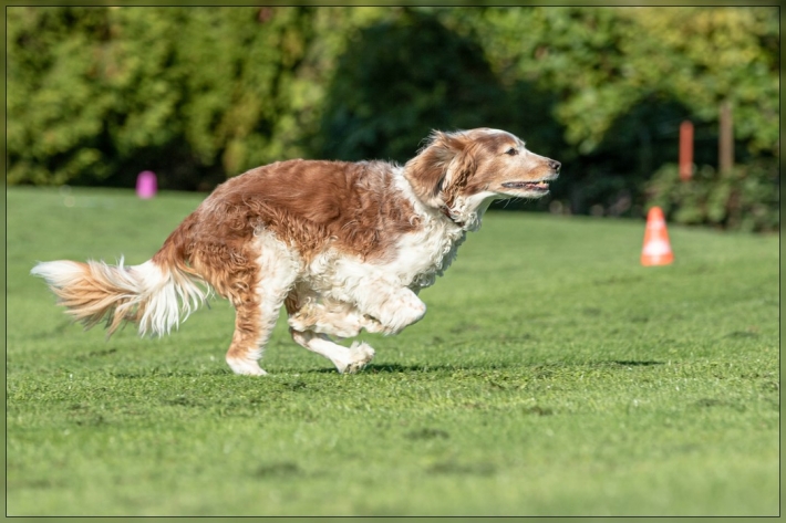 comp_IMG_8075-1
