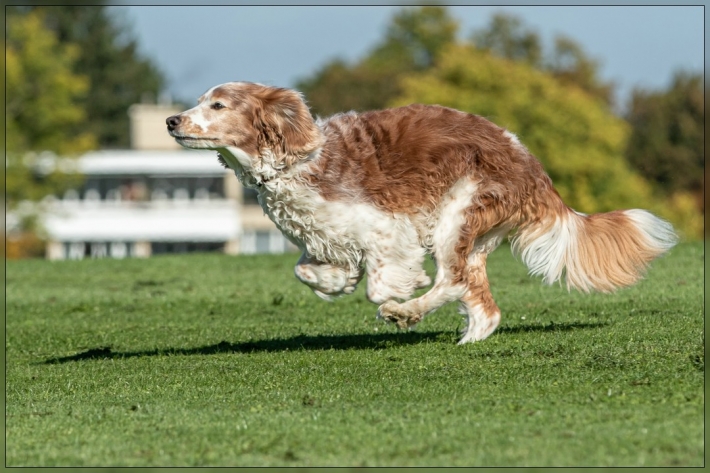 comp_IMG_8091-1