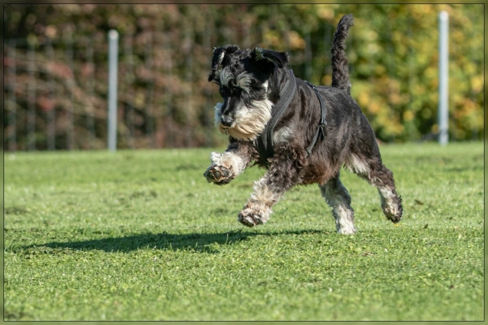 comp_IMG_8124-1