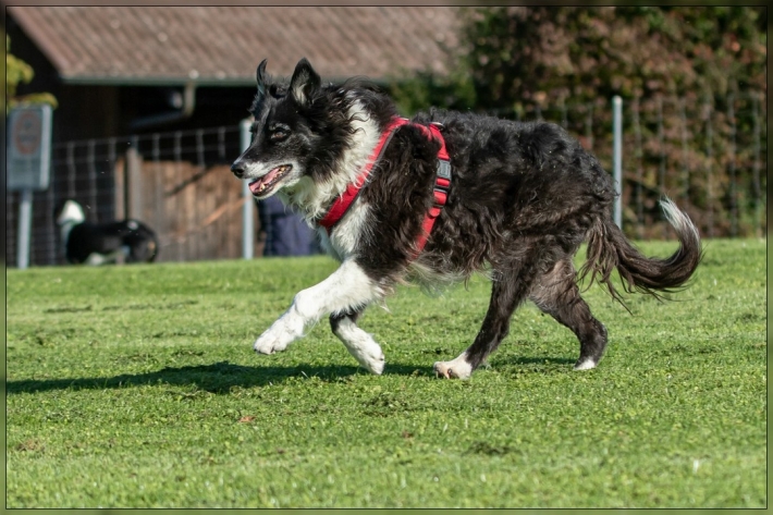 comp_IMG_8206-1
