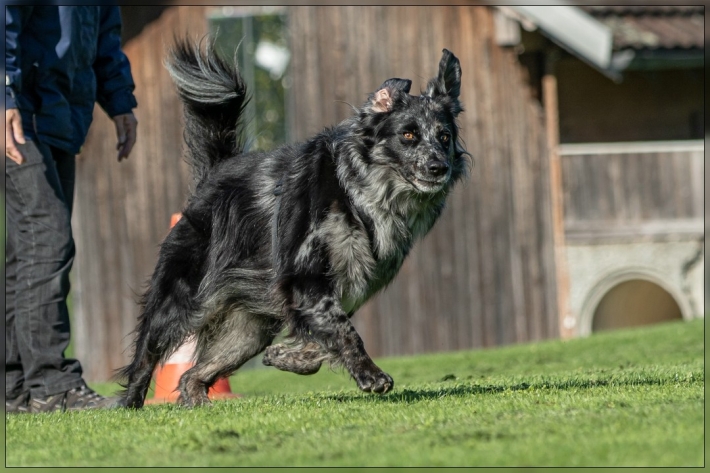 comp_IMG_8305-1