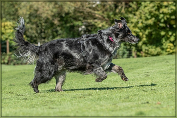 comp_IMG_8314-1