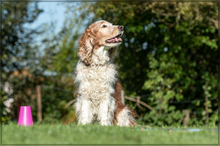comp_IMG_8337-1