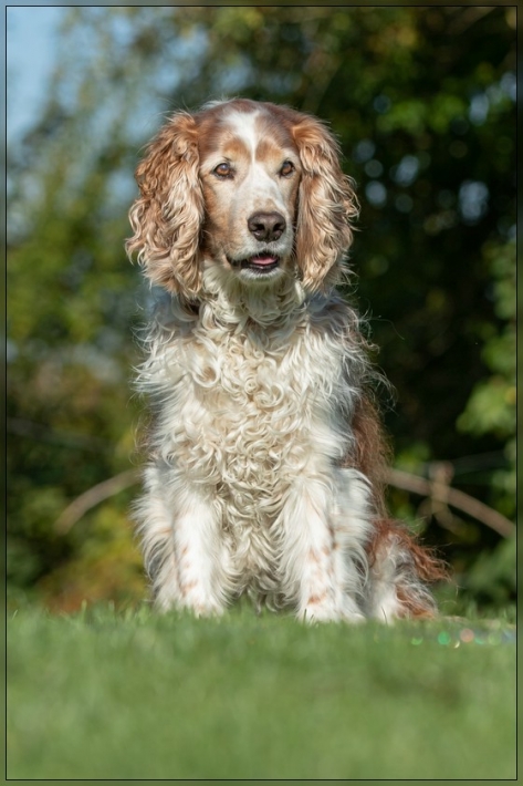 comp_IMG_8344-1