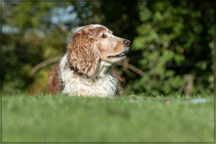 comp_IMG_8346-1