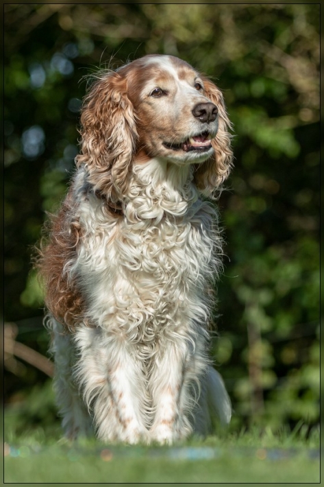 comp_IMG_8356-1