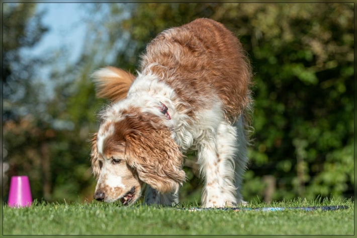 comp_IMG_8366-1