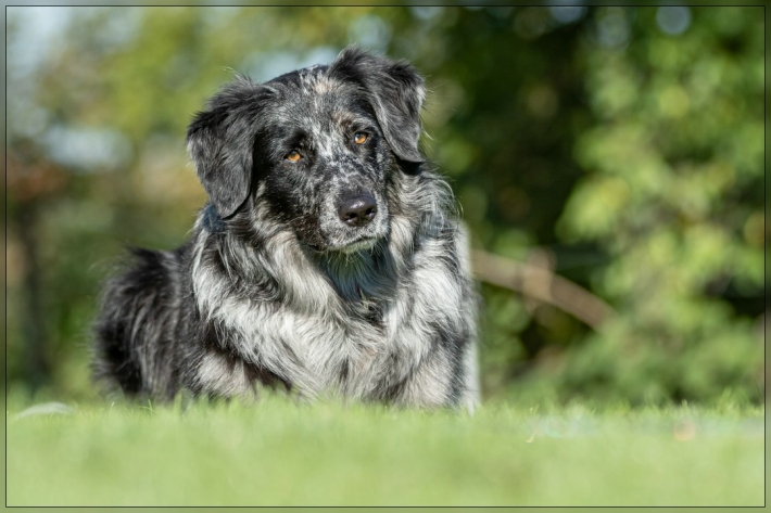 comp_IMG_8401-1