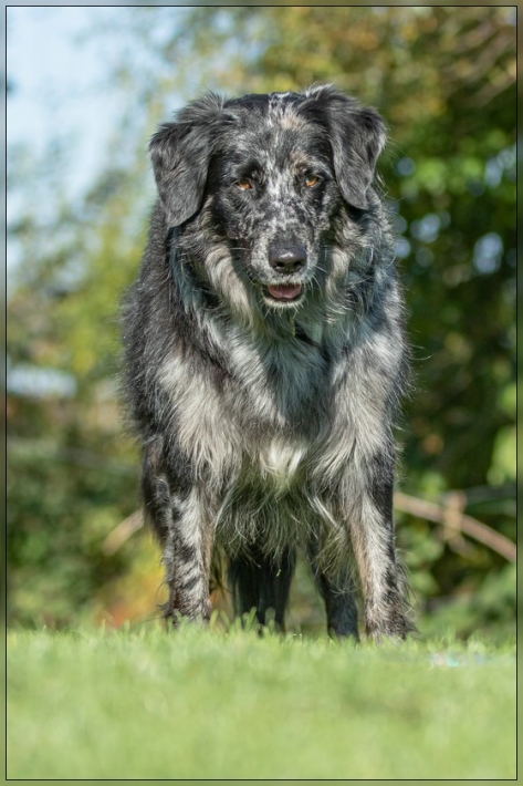 comp_IMG_8402-1