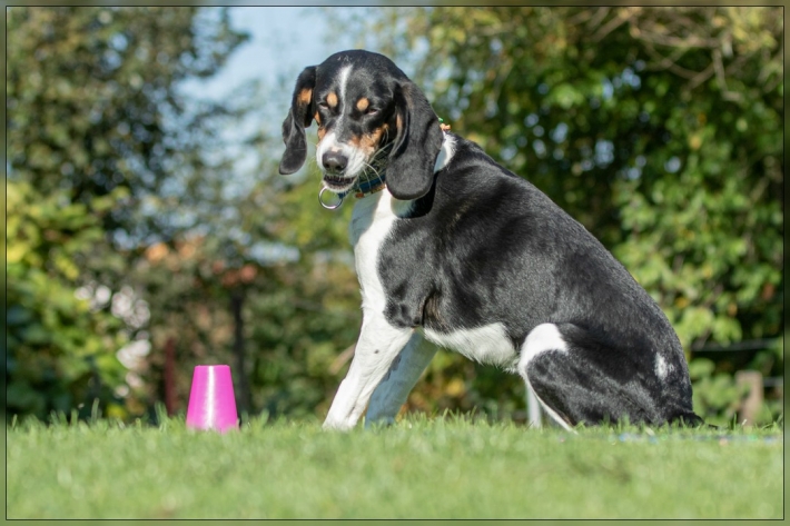 comp_IMG_8475-1