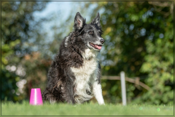 comp_IMG_8581-1