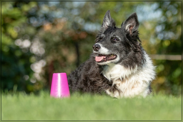 comp_IMG_8588-1
