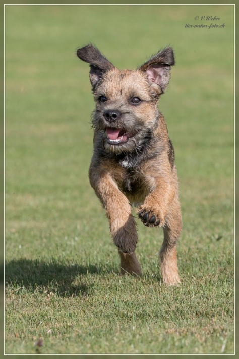 comp_IMG_5364-1