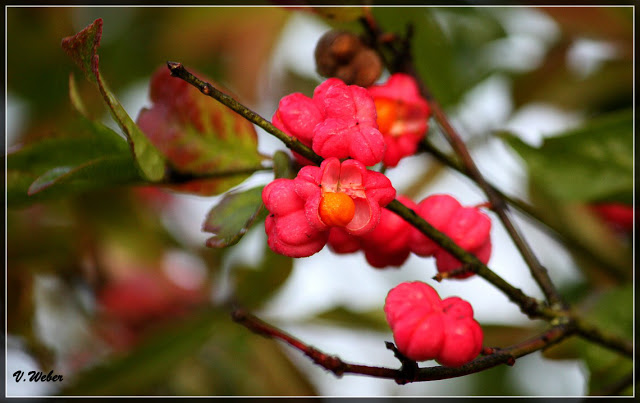 comp_IMG_8836-1