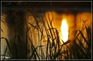 Abend- stimmung am Rhein