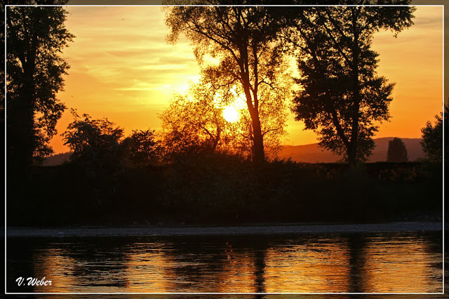 comp_IMG_0257-1