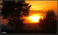 comp_IMG_0274-1