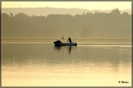 comp_IMG_8641-1
