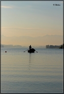 comp_IMG_8677-1