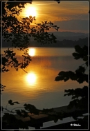 Morgenstimmung am Greifensee 2012