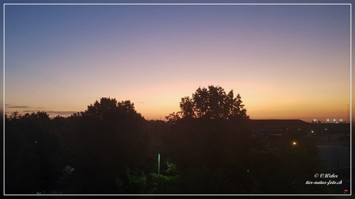 10. Sonnenaufgang in Atlanta