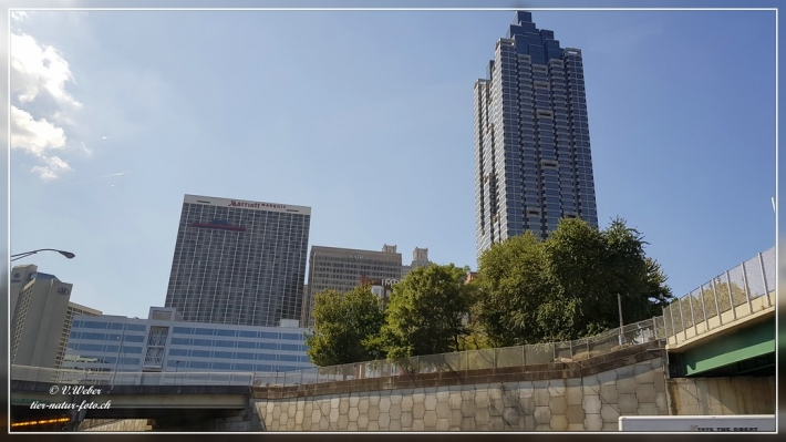 17. Atlanta