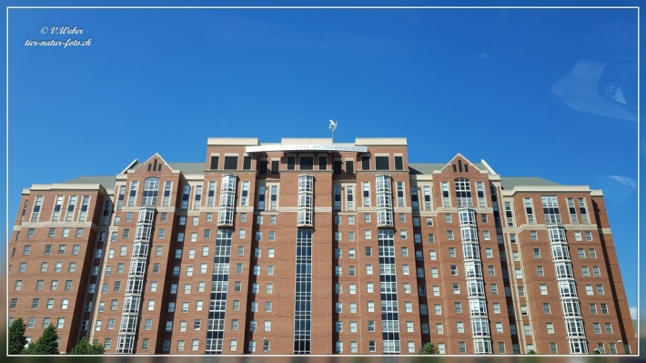 18. Atlanta