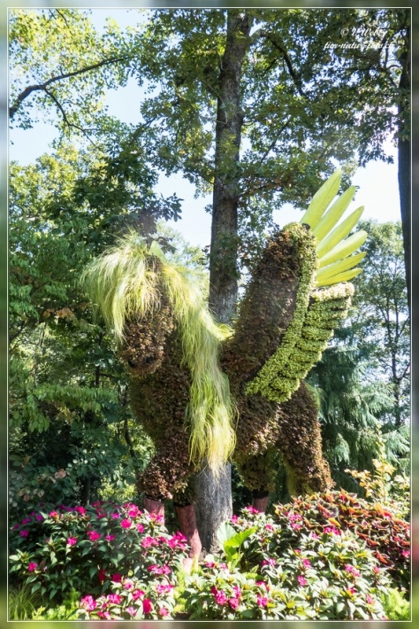 26. Atlanta Botanical Garden